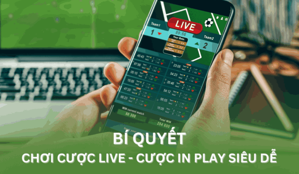bí quyết chơi cược live