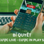bí quyết chơi cược live