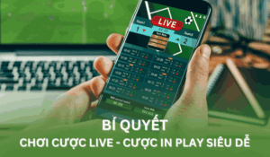 bí quyết chơi cược live