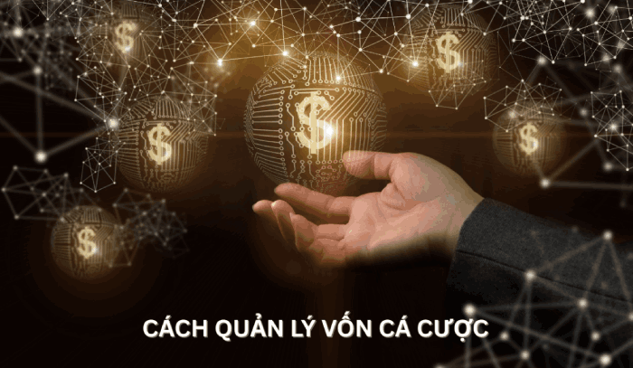 cách quản lý vốn cá cược