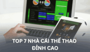 top 7 nhà cái thể thao