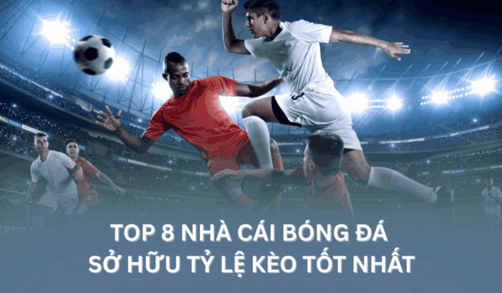 top 8 nhà cái bóng đá