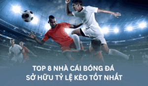 top 8 nhà cái bóng đá